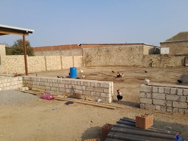 Torpaq sahələrinin satışı: 8 sot, Tikinti, Mülkiyyətçi — 19