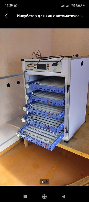 Товары и оборудование для с/х животных: Инкубаторы китайский сатылат жаңы полный автомат свет очсо 12 вольт — 7
