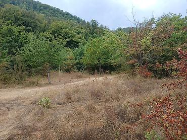 Torpaq sahələrinin satışı: 170 sot, Biznes üçün, Mülkiyyətçi, Kupça (Çıxarış) — 7