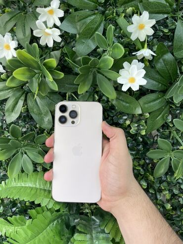 dubayiski iphone: IPhone 14 Pro Max, Natural Titanium