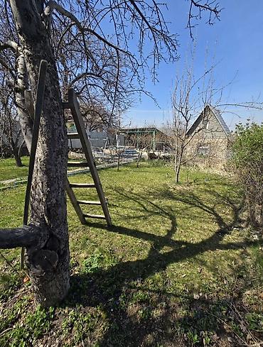Продажа дачи: 🏡 ПРОДАЁТСЯ ДАЧА В РАЙОНЕ КОК-ЖАР 📍 Беш-Кюнгёй, дачный кооператив — 10