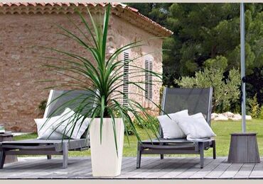 Горшки для растений: Продаю кашпо стильно, модно и креативно. в трёх цветах, отличного — 5