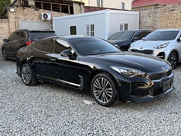 подставки под машину: Kia Stinger: 2018 г., 2.2 л, Автомат, Дизель, Лифтбек — 3