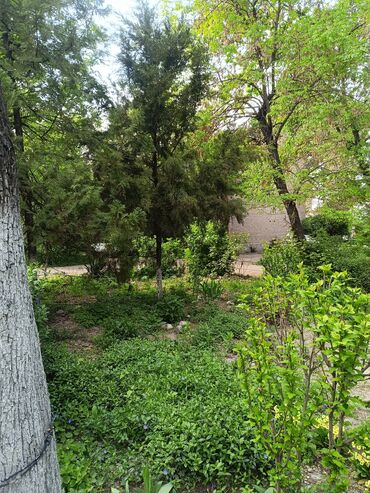 Продажа квартир: 2 комнаты, 45 м², Хрущевка, 1 этаж, Косметический ремонт — 13