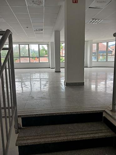 Kuće za izdavanje: Izdaje se Lokal u centru Aranđelovca lux oprema 490m2 . Prizemlje — 5