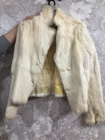 Kurtkalar: Dəri kurtka, S — 7