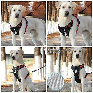 Зоотовары: Продаю шлейки для крупных,средних и мелких пород собак по разным — 8