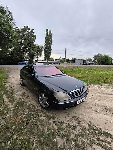 rox 01: Mercedes-Benz S-Class: 2000 г., 5 л, Автомат, Газ, Седан — 6