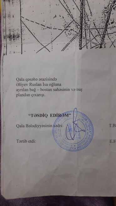 Həyət evləri və villaların satışı: Binə 4 otaqlı, 3500 kv. m, Kredit yoxdur, Təmirsiz — 9