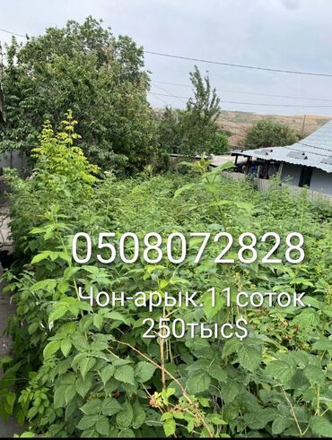 продажа дом маевка: 10 соток, Айыл чарба үчүн, Техпаспорт, Кызыл китеп, Сатып алуу-сатуу келишими