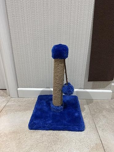 ilan oyuncaq: Pişik üçün dırmaşma və dırnaq itiləmə dirəyi - Material: möhkəm sisal — 2