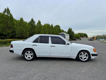 Mercedes-Benz: Mercedes-Benz W124: 1991 г., 2.5 л, Автомат, Бензин, Седан