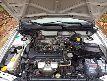 Nissan: Nissan Sunny: 1.6 l | 2006 il Sedan — 6