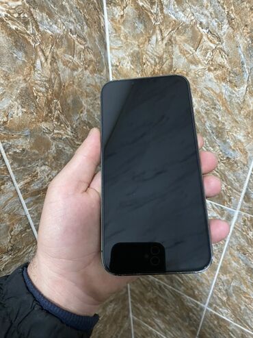 Apple iPhone: IPhone 13 Pro Max, Б/у, 128 ГБ, Графит, Защитное стекло, Чехол, 79 % — 2