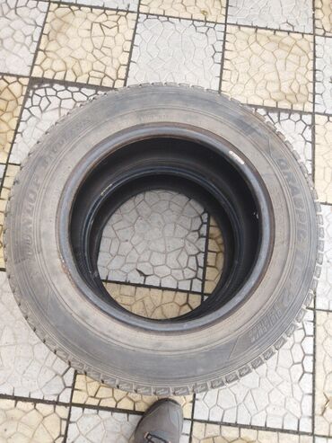 Шины: Шины 195 / 65 / R 15, Всесезонная, Б/у, Легковые, Япония, Dunlop