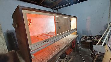 Товары и оборудование для с/х животных: Прошу уточнять наличие и читать внимательно, Брудер для — 6