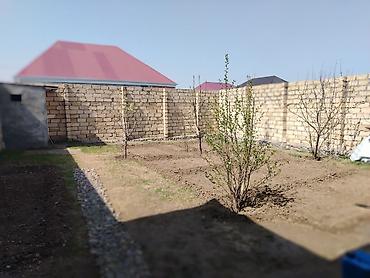 hovuzlu bağ evi: 3 otaqlı, 3 kv. m, Kredit yoxdur, Yeni təmirli — 10