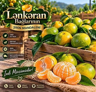 meyve sublimasiya aparati: Məhsul: Lənkəran Bağlarının şirin mandarini və Lənkəran feyxosu Toptan — 1