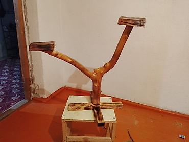 Полки, этажерки для цветов: Полка, этажерка для цветов, Дерево — 7