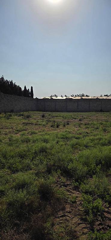 bine atciliqda torpaq: 50 sot, Tikinti, Mülkiyyətçi, Kupça (Çıxarış) — 4