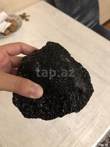 золотая шиншилла купить: Akvarium üçün dekor daş satıram (Lava rock). Krivetka saxlayanlar üçün