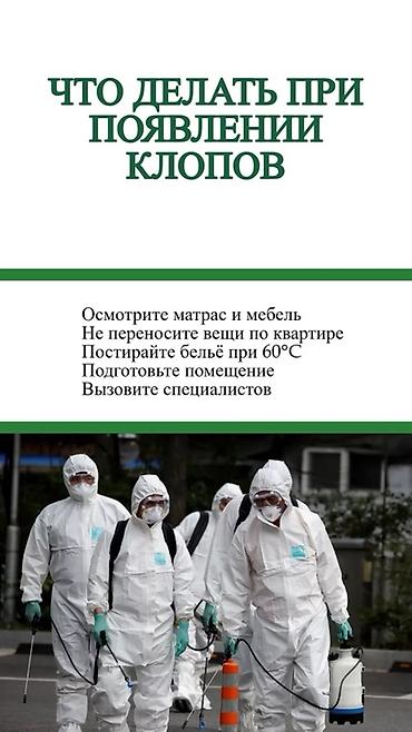 Дезинфекция, дезинсекция: Профессиональная дезинсекция от тараканов — DEZEXPERT Что предлагаем — 11