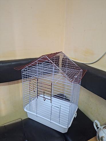 bulbul qefesi: Quş qəfəsi – dam formalı metal konstruksiya - Material: toz boya ilə — 2