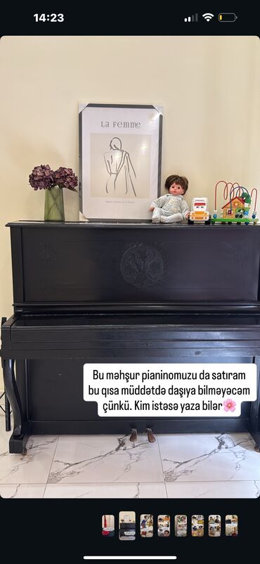 губные музыкальные инструменты: Пианино