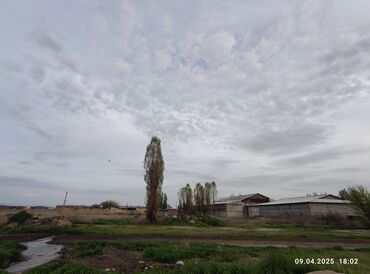 Цеха, заводы, фабрики: Продаю Фабрика, С оборудованием, Действующий, 2000 м² — 12