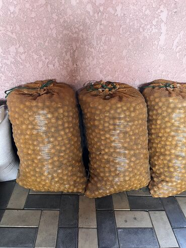 Сухофрукты, орехи, снеки: Орехи грецкие урожай 2023 года, продаю село пригородное самовывоз