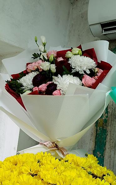 Пленка и бумага: Бумага, Новый — 3