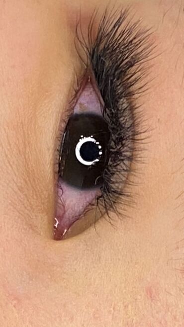 Ресницы: Ресницы, Классика, 2D, 3D, С выездом на дом — 6