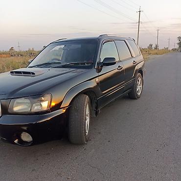 богажник фит: Subaru Forester: 2004 г., 2 л, Автомат, Бензин, Кроссовер — 8