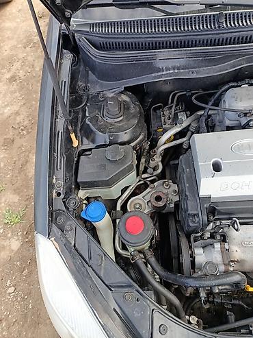 Kia: Kia Rio: 1.4 l | 2006 il Hetçbek — 5