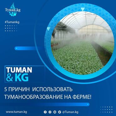 предлагаю сотрудничество: 🌟 5 причин начать использовать систему туманообразования на вашей