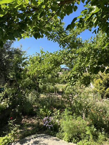 Bağ evlərinin satışı: Digah, 340 kv. m, 4 otaqlı, Artezian quyusu, Kanalizasiya, Kombi — 33