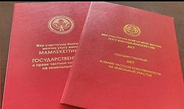 Жер тилкелери: 423 соток, Курулуш, Кызыл китеп — 1