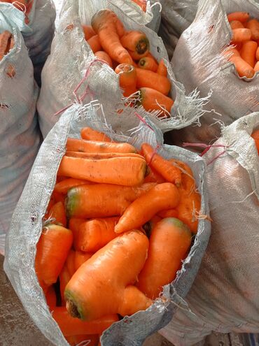 Продаю морковь на корм оптом мытая не мытая