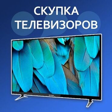 Скупка техники: Скупка телевизоров TV
Выезд, оценка, дорого
Только рабочие