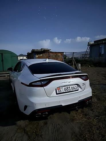 kia ceed gt: Kia Stinger: 2018 г., 3.3 л, Лифтбек — 3