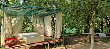 Сельхоз предприятия: Продается Кашара Фермерское- хозяйство с действующим бизнесом и с — 19