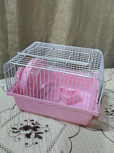 ucuz sifaner: Продаются 2 клетки для хомяков в идеальном состоянии.Hamster üçün tam — 3
