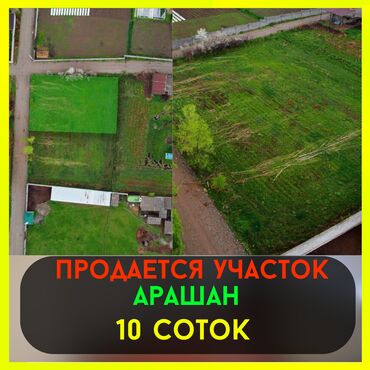 аламидин по суточный квартира: 10 соток, Для строительства, Красная книга