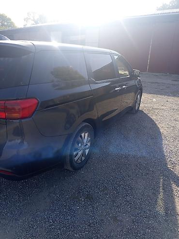 i vtec: Kia Carnival: 2018 г., 2.2 л, Автомат, Дизель, Минивэн — 4
