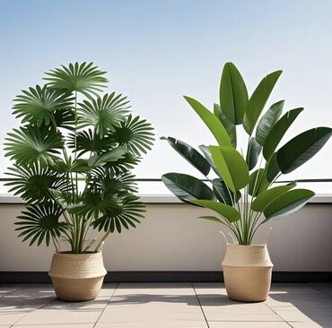 Süni güllər: 🌸 İstədiyiniz dibçəyi, istədiyiniz ölçüdə yığırıq! 🏡 Evlər, ofislər -da lalafo.az — 9 Süni güllər: 🌸 İstədiyiniz dibçəyi, istədiyiniz ölçüdə yığırıq! 🏡 Evlər, ofislər — 9