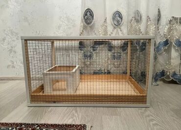 Qəfəslər: Dovşan,şinşila,bildirçin,cücə,xamyak,pişik,quş ve s kimi ev heyvanlari — 7