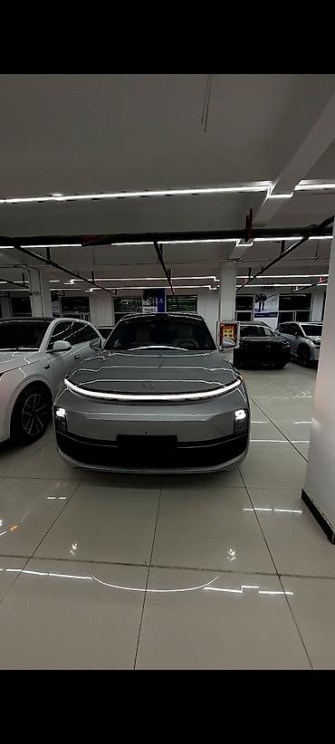 byd e6: Lixiang L9: 2024 г., Гибрид, Кроссовер — 2