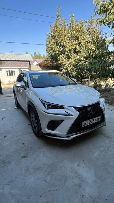 автопылесос цена: Lexus NX: 2019 г., 2 л, Автомат, Бензин, Внедорожник