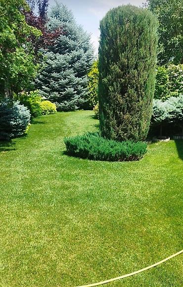 Дизайн, проектирование: Дизайн | Дома — 8