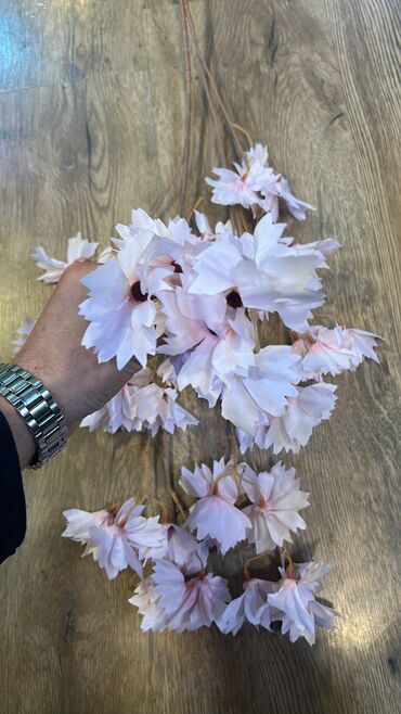 Digər ev dekoru: 7 man baslayan qiymetler Depodan bir basa satis Mehsulkari olkeye — 6